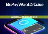 比特派钱包app苹果版|比特派钱包分身