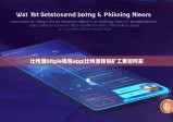 比特派bitpie钱包app|比特派钱包矿工费如何买